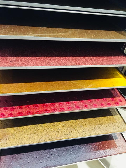 La naissance des Biobecs ou comment bien déshydrater ses fruits