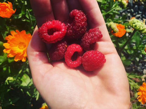 Interview de Mme Green pour le magazine “Le Retour à la Terre”